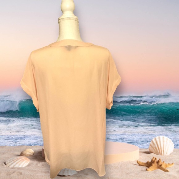 Ralph Lauren soft pink sheers blouse 1x - Picture 2 of 4